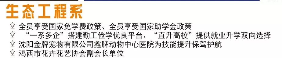 2020年黑龙江技师学院生态工程系招生专业介绍 2020年黑龙江技师学院生态工程系招生专业介绍
